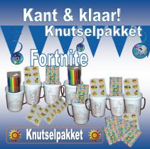 gallery/fortnite knutselpakket